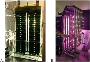 lunar-photobioreactors.jpg