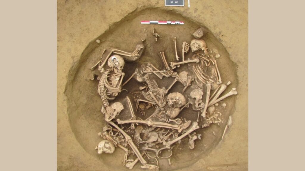 neolithic-burial-1200x675.jpg