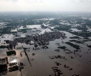 pakistan-flood-farmer-town-cotton-hg.jpg