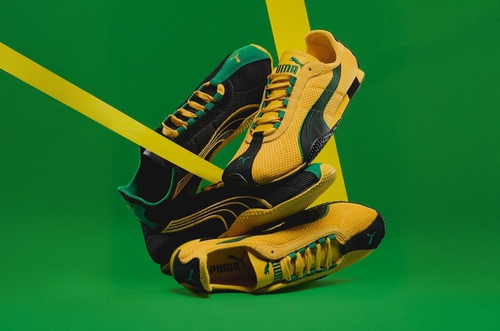 puma12_316053.jpg
