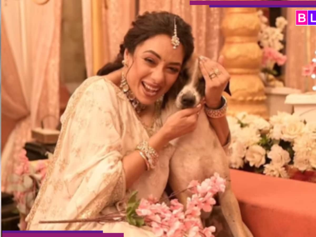 rupali-ganguly-on-stray-dogs.png