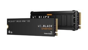 sandisk_wd_black_sn8100_1747194441555.jpg