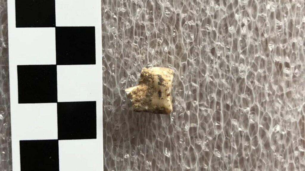thai-burial-tooth-1200x675.jpg