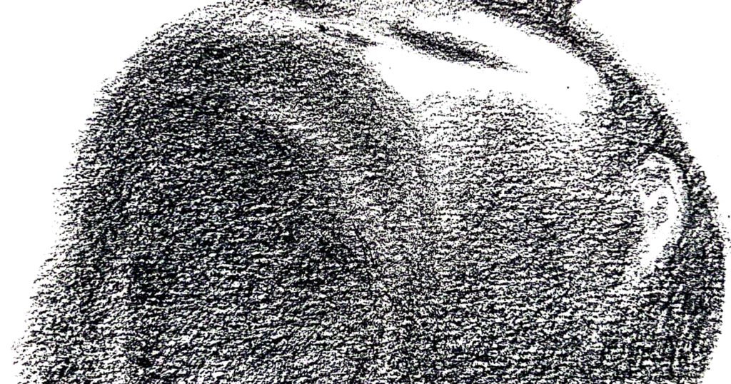 FEAT_1440-2-1440x756.gif