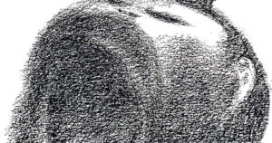 FEAT_1440-2-1440x756.gif