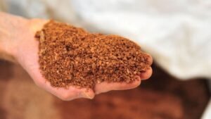 G7-SUMMIT-MINERALS-0_1750764456126_1757681825745.JPG