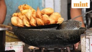 Samosas_1752481577973_1752481578351_1758187274696.jpg