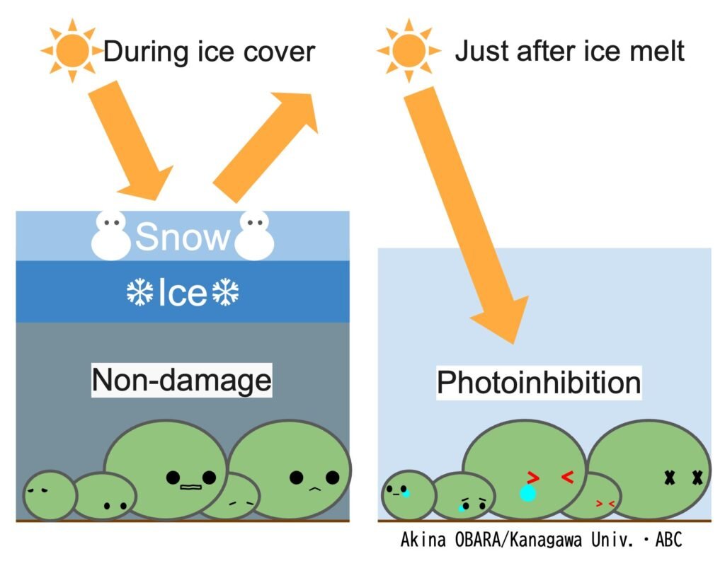 beneath-the-ice-spring.jpg