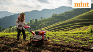 farm_1758281999702_1758282005354.png
