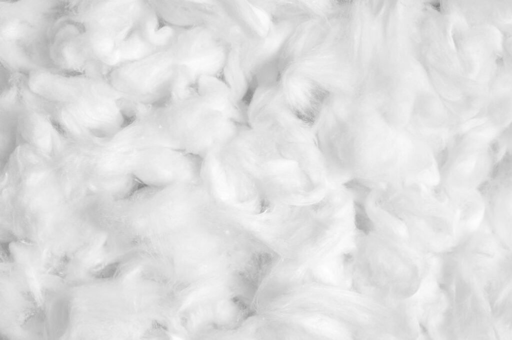 shutterstock-1501661933_316831.jpg