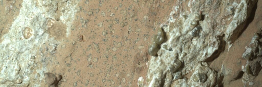 signs-of-ancient-life.jpg