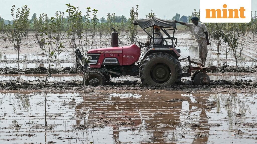INDIA-PAKISTAN-FLOOD-CLIMATE-AGRICULTURE-3_1760073230901_1760073245840.jpg