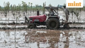 INDIA-PAKISTAN-FLOOD-CLIMATE-AGRICULTURE-3_1760073230901_1760073245840.jpg