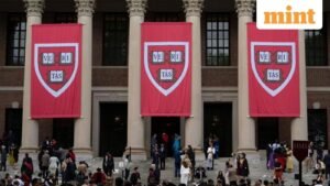 The-attack-on-top-universities-such-as-Harvard-has_1759398114304_1759398135636.jpg