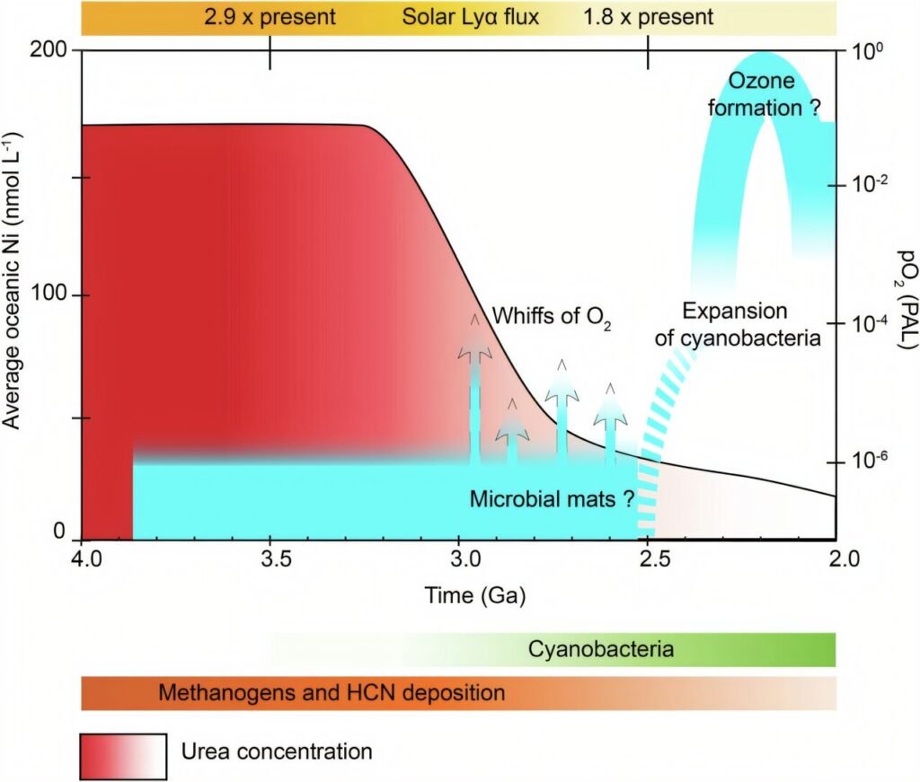 earths-oxygen-boom-stu.jpg