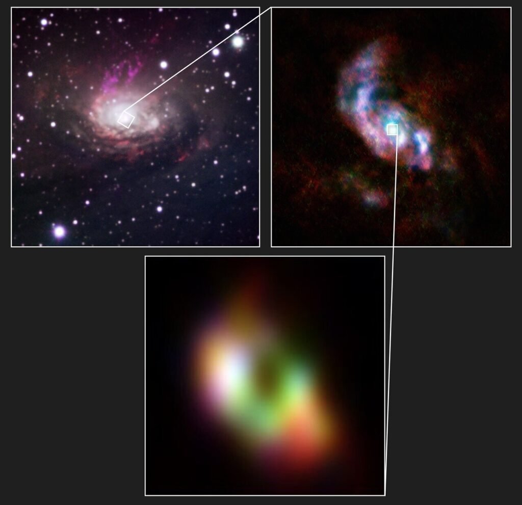 greedy-black-hole-feed-1.jpg