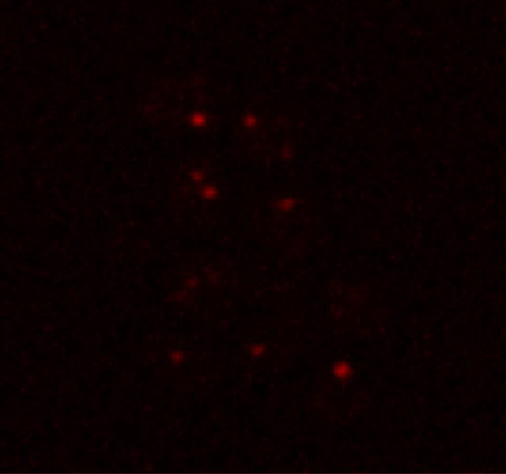 yeast-survives-martian.jpg
