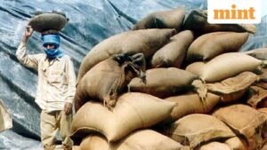 2-0-72496074-wheat-bags-3C-0_1681404047933_1764137142498.jpg