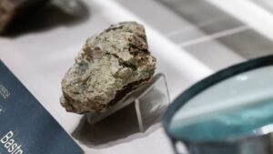 AUTOS-RAREEARTHS-1_1762095713736_1762095727977_1762096432806.JPG