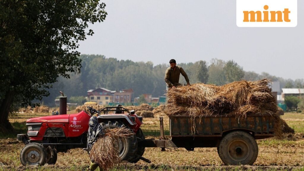 INDIA-RICE-0_1763962900824_1763962911088.JPG