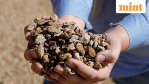 RAREEARTHS-HEAVIES-3_1763734061732_1763734071745.JPG