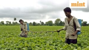 2-0-104763236-SoyBean-4C-0_1681376220315_1764592748943.jpg