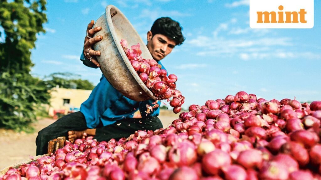 2-0-353326576-onions1-0_1680502177496_1765539964781.jpg