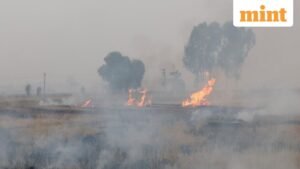 Smoke-rises-from-the-burning-stubble-in-a-Punjab-c_1765363449169_1765363457629.jpg