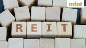 3-0-74875299-iStock-1147226461-0_1679799524887_1769766866614.jpg