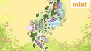 Herbal_Cigarettes_Web_1768126224312_1768126228681_1768126343371.jpg
