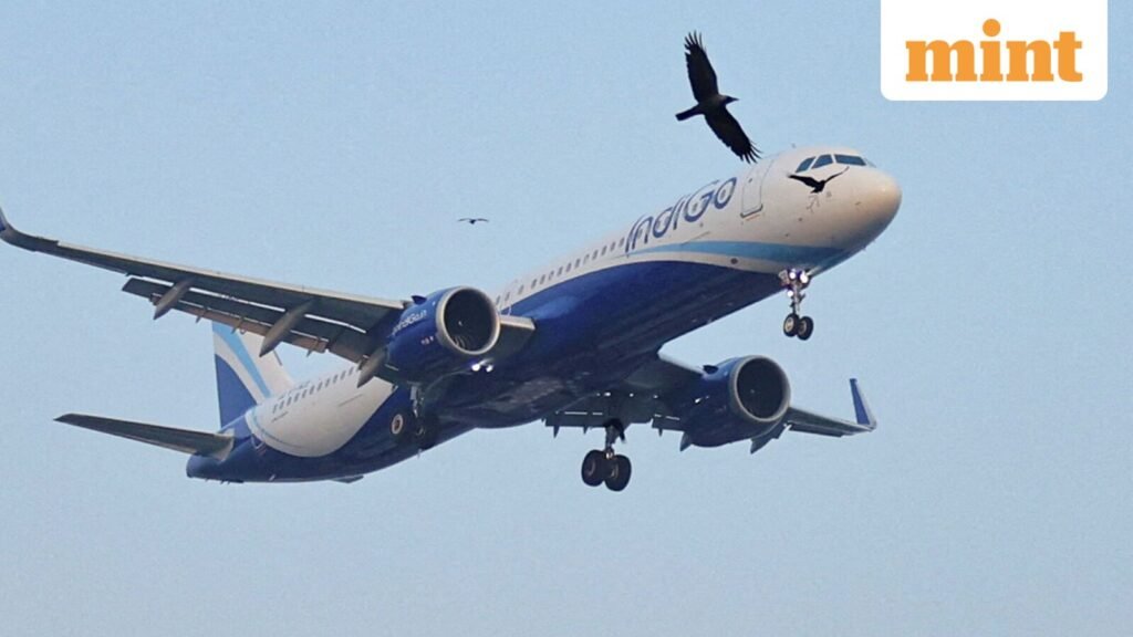 INDIGO-INDIA-ANTITRUST-1_1766935200162_1766935217371_1768239112216.JPG