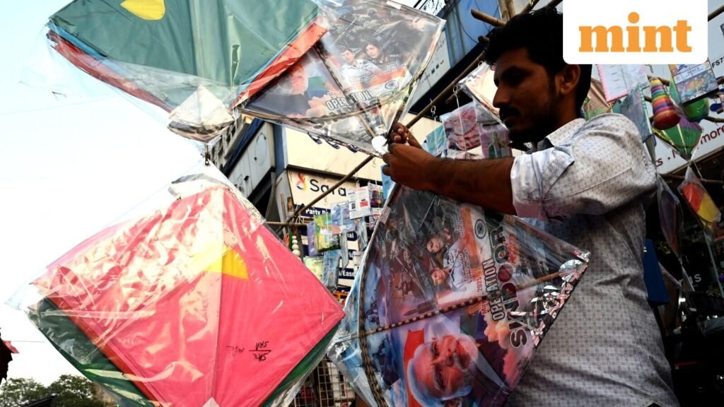 kites-3_1768328902808_1768328914992.JPG
