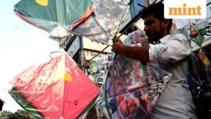 kites-3_1768328902808_1768328914992.JPG