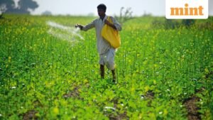 2-0-719481517-fertilizer2-0_1680325445982_1771498518760_1771498598479.JPG