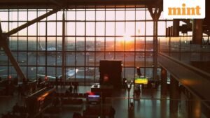 UDAN_1772030102026_1772030102281.jpg