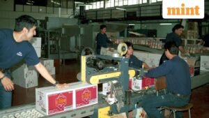 2-0-71457017-pisco2-corp-3C-0_1681410273842_1773820611540.jpg