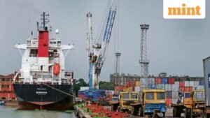 Export_import_Mint_1772454314447_1772454324712.jpg
