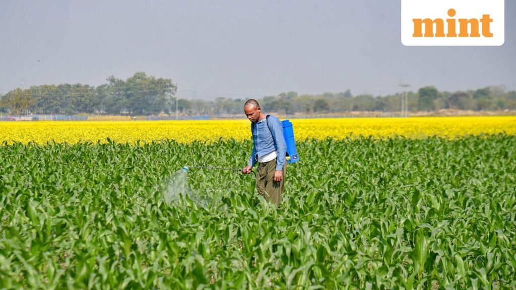 Fertilizer_1_1774267612963_1774267624600_1774267783823.jpg