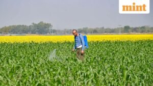 Fertilizer_1_1774267612963_1774267624600_1774267783823.jpg