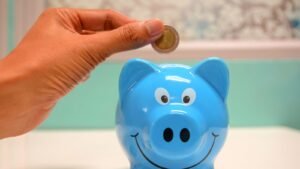 budget_4_-mutual_fund_1767358242974_1767358308508_1772797911555.jpg