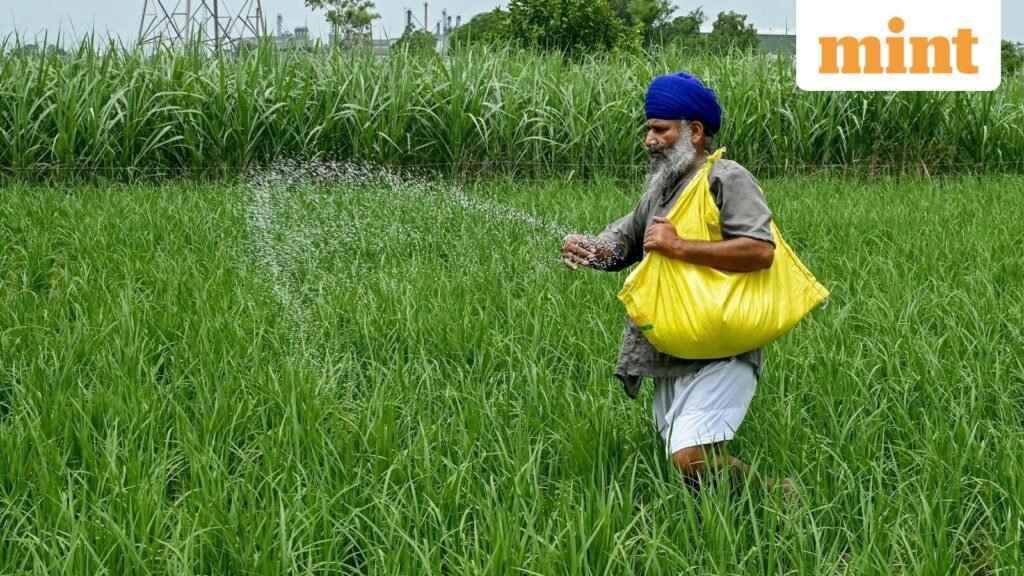 A-farmer-sprinkles-fertiliser-over-crops-at-a-rice_1750692507047_1776188414972.jpg