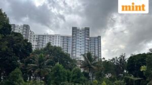 Manasum_Banyan_1717071882912_1776096006797.jpeg